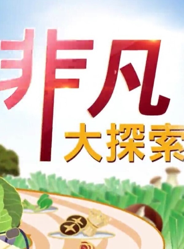 锤子探花再约极品眼镜御姐美腿高跟鞋很主动埋头舔骚逼抱起来猛操小穴 - 五五自拍